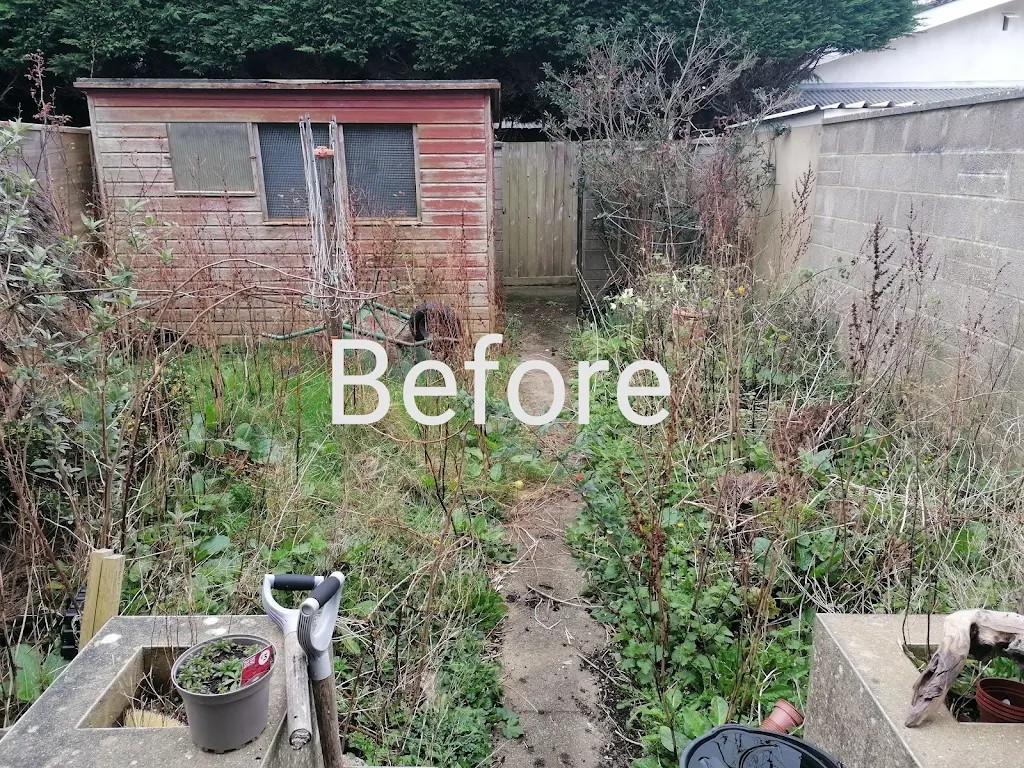 Overgrown Garden Clearance and Tidy-Up in Kettering
